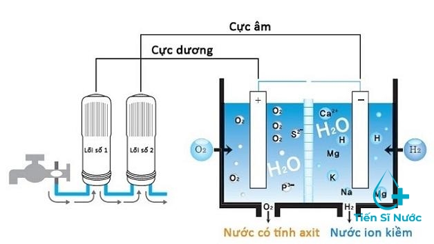 Quy trình 2 giai đoạn tạo ra nước kiềm Alkaline Quy trình 2 giai đoạn tạo ra nước kiềm Alkaline