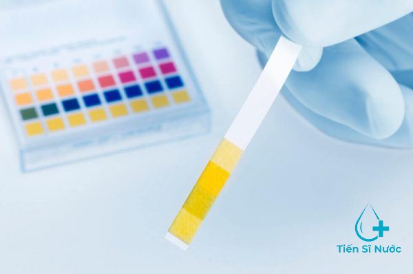 cách đo độ pH của nước