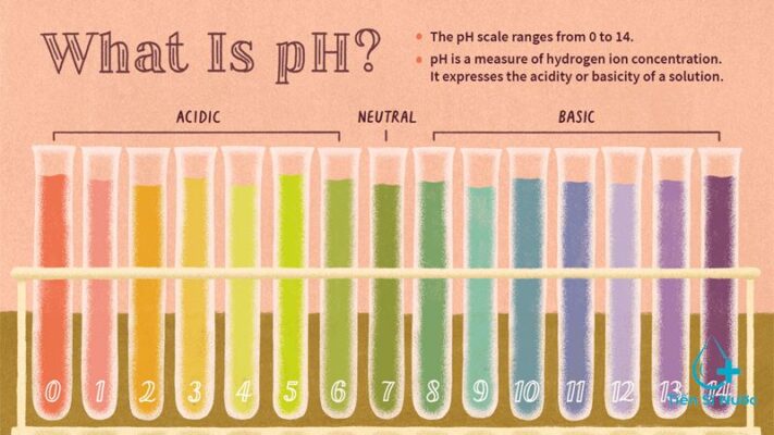 ph là gì
