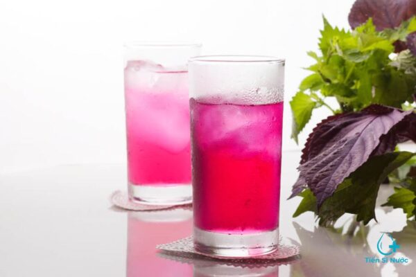 uống nước lá tía tô có tác dụng gì