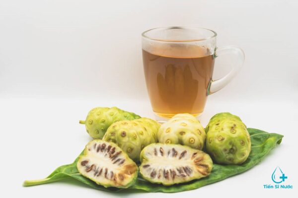 Cung cấp chất chống oxy hóa Cung cấp chất chống oxy hóa