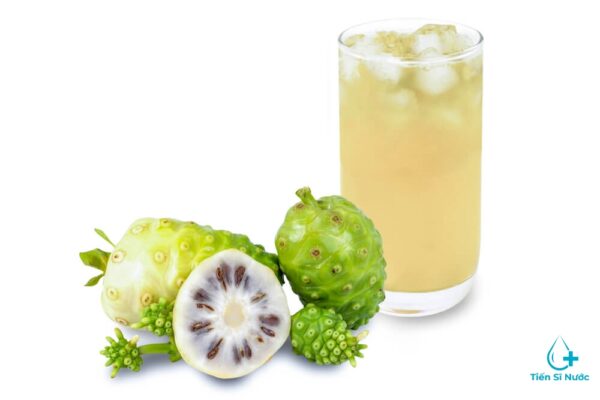 Hướng dẫn cách làm nước ép trái nhàu đơn giản tại nhà Hướng dẫn cách làm nước ép trái nhàu đơn giản tại nhà