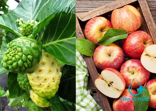 Nước ép trái nhàu táo Nước ép trái nhàu táo