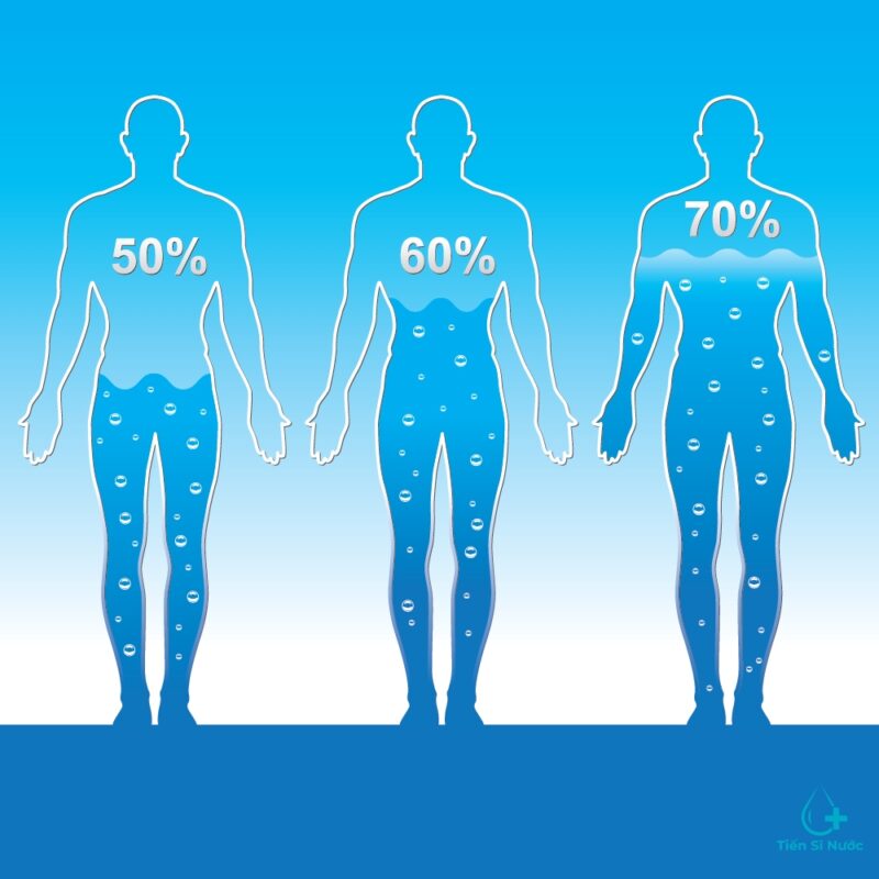 tỷ lệ nước trong cơ thể người