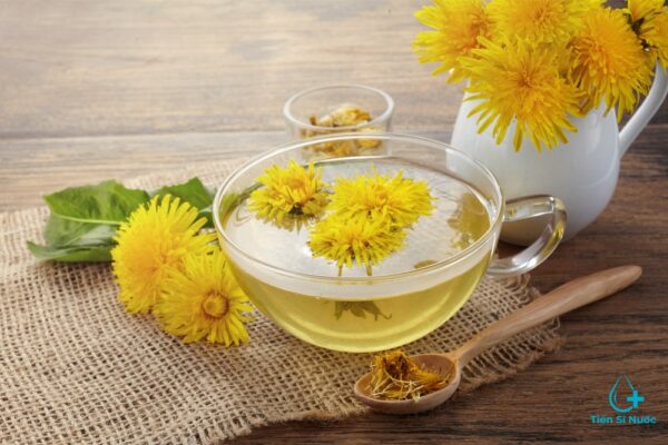 Trà bồ công anh trong danh sách nước uống gì tốt cho thận Trà bồ công anh trong danh sách nước uống gì tốt cho thận