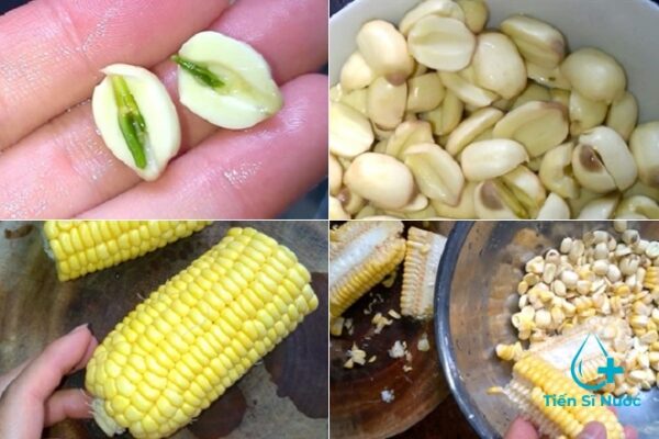 Sen và bắp sau khi sơ chế cho vào nồi luộc chín