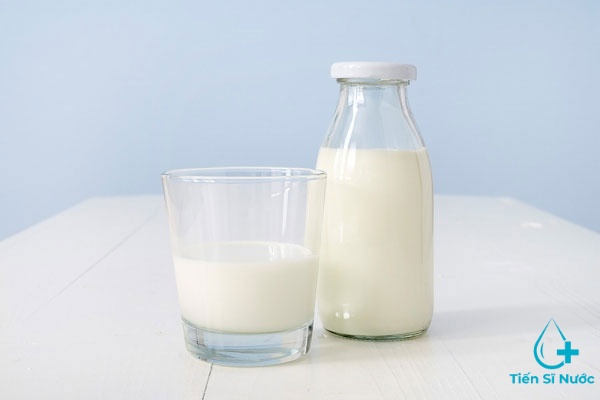 sữa tươi không đường bao nhiêu calo
