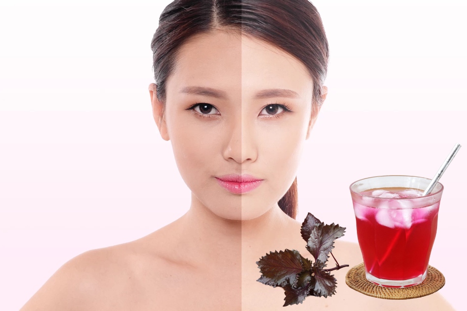 uống nước lá tía tô bao lâu thì trắng da