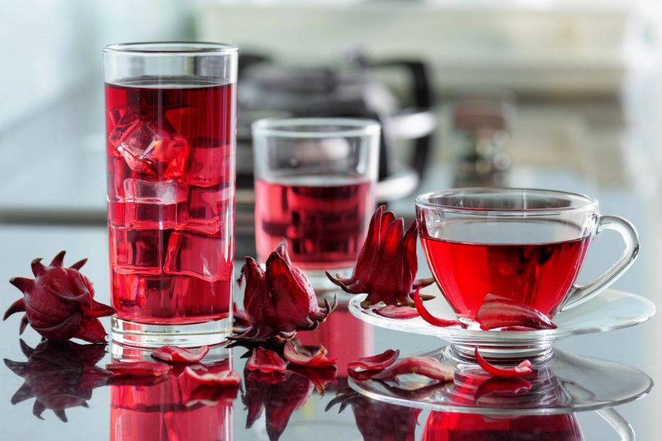 Nước hoa atiso đỏ giúp tăng cường sức đề kháng Nước hoa atiso đỏ giúp tăng cường sức đề kháng