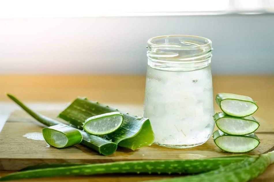 Nước nha đam hỗ trợ quá trình thanh lọc và làm sạch cơ thể Nước nha đam hỗ trợ quá trình thanh lọc và làm sạch cơ thể