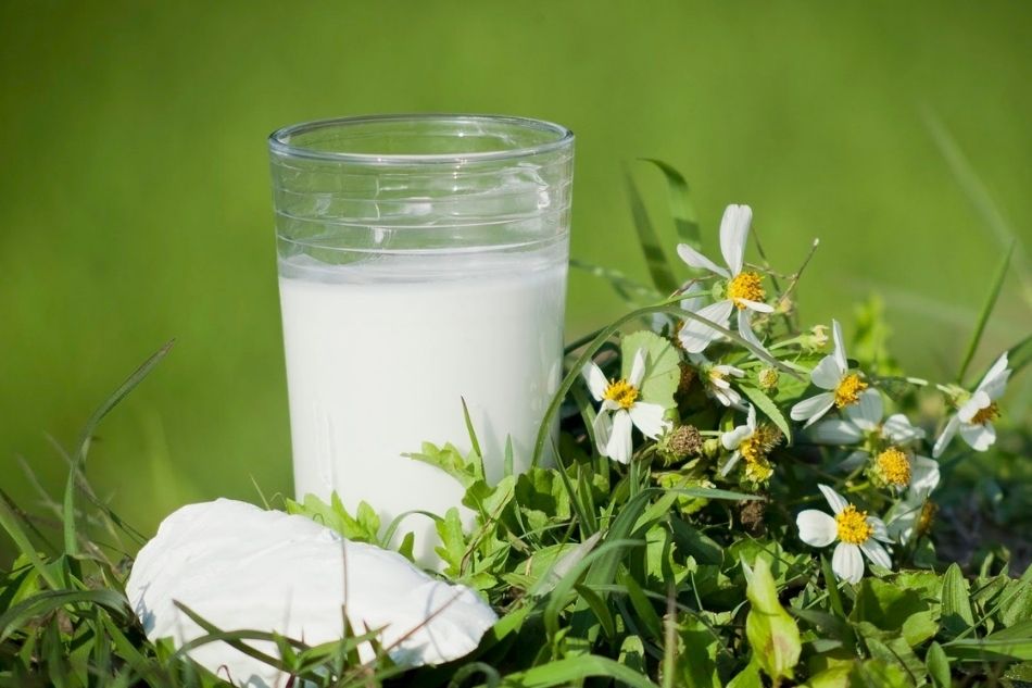Nước sắn dây giúp làm mát cơ thể và giải rượu nhanh chóng Nước sắn dây giúp làm mát cơ thể và giải rượu nhanh chóng