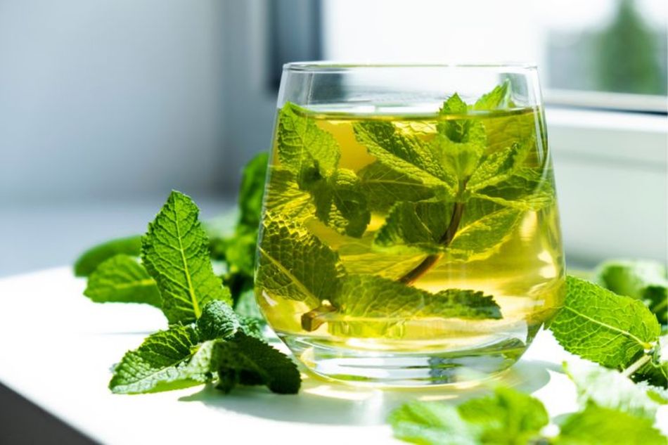 Trà bạc hà thanh lọc cơ thể và hỗ trợ chức năng gan Trà bạc hà thanh lọc cơ thể và hỗ trợ chức năng gan
