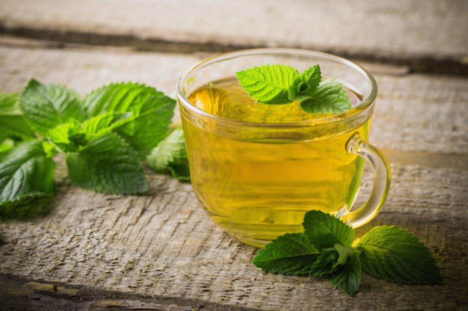 Trà tía tô đất cải thiện giấc ngủ hiệu quả Trà tía tô đất cải thiện giấc ngủ hiệu quả