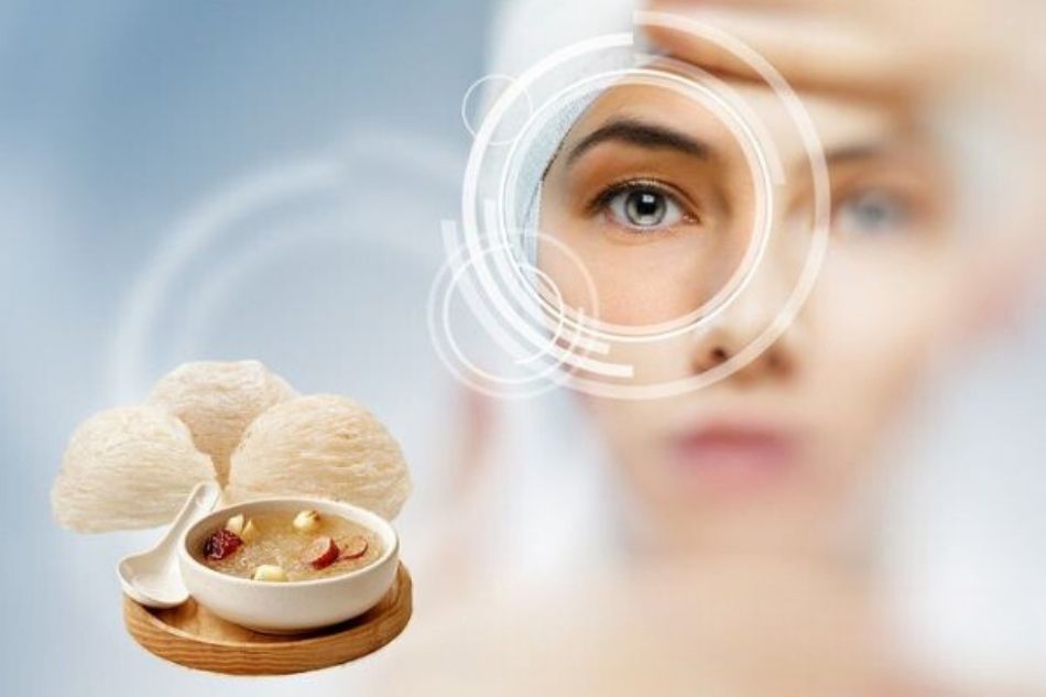 Yến sào cung cấp dưỡng chất hỗ trợ sức khỏe mắt Yến sào cung cấp dưỡng chất hỗ trợ sức khỏe mắt
