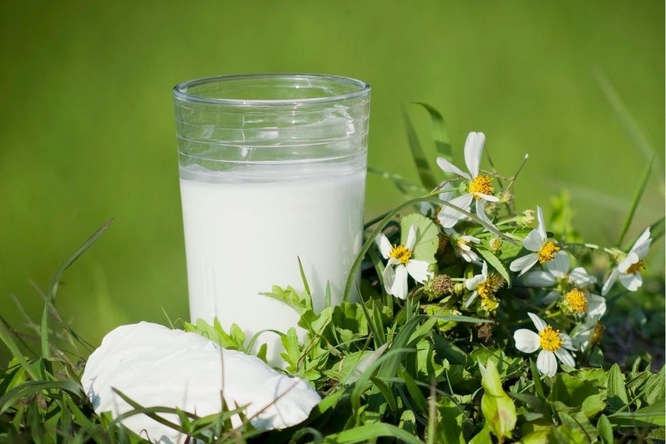 Nước sắn dây có tác dụng giải nhiệt, làm mát cơ thể và cải thiện vết loét miệng Nước sắn dây có tác dụng giải nhiệt, làm mát cơ thể và cải thiện vết loét miệng