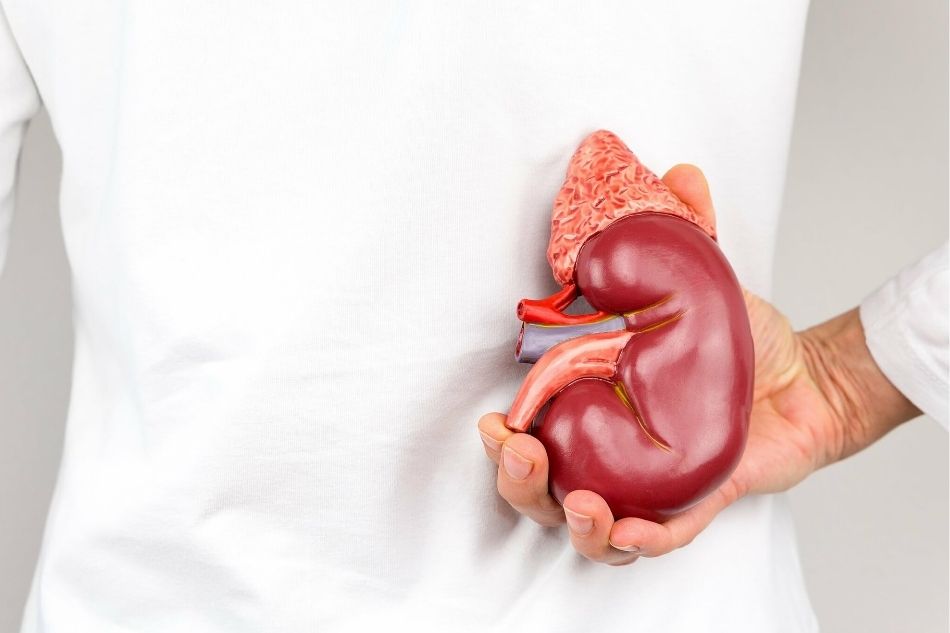 thận bị ứ nước có nên uống nhiều nước không