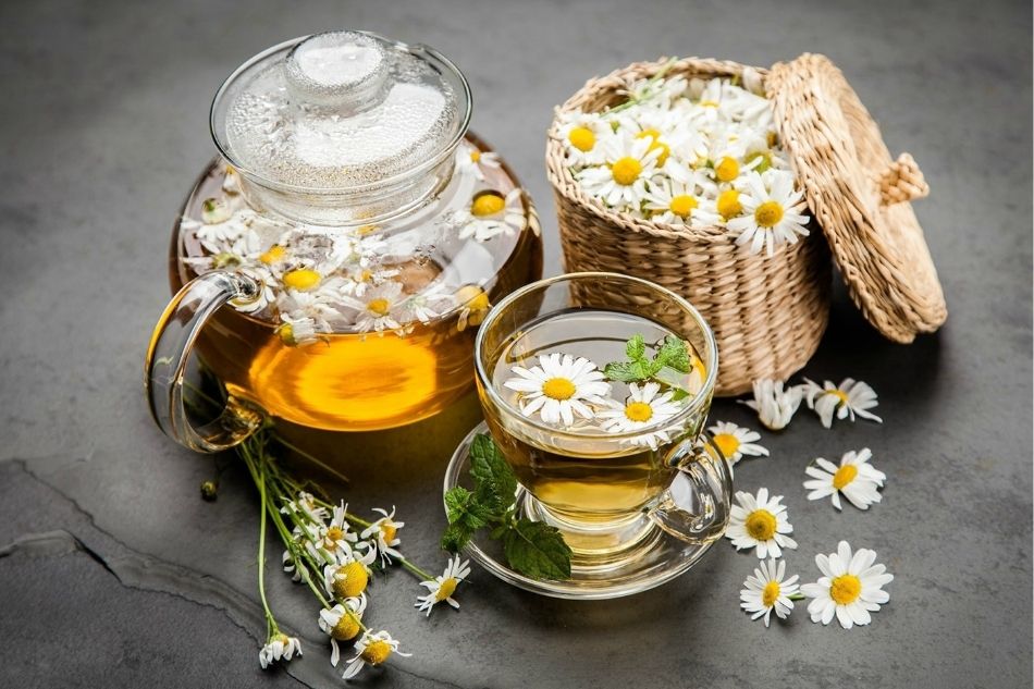 Trà bạc hà và hoa cúc giúp thư giãn thần kinh và giảm hoa mắt chóng mặt Trà bạc hà và hoa cúc giúp thư giãn thần kinh và giảm hoa mắt chóng mặt